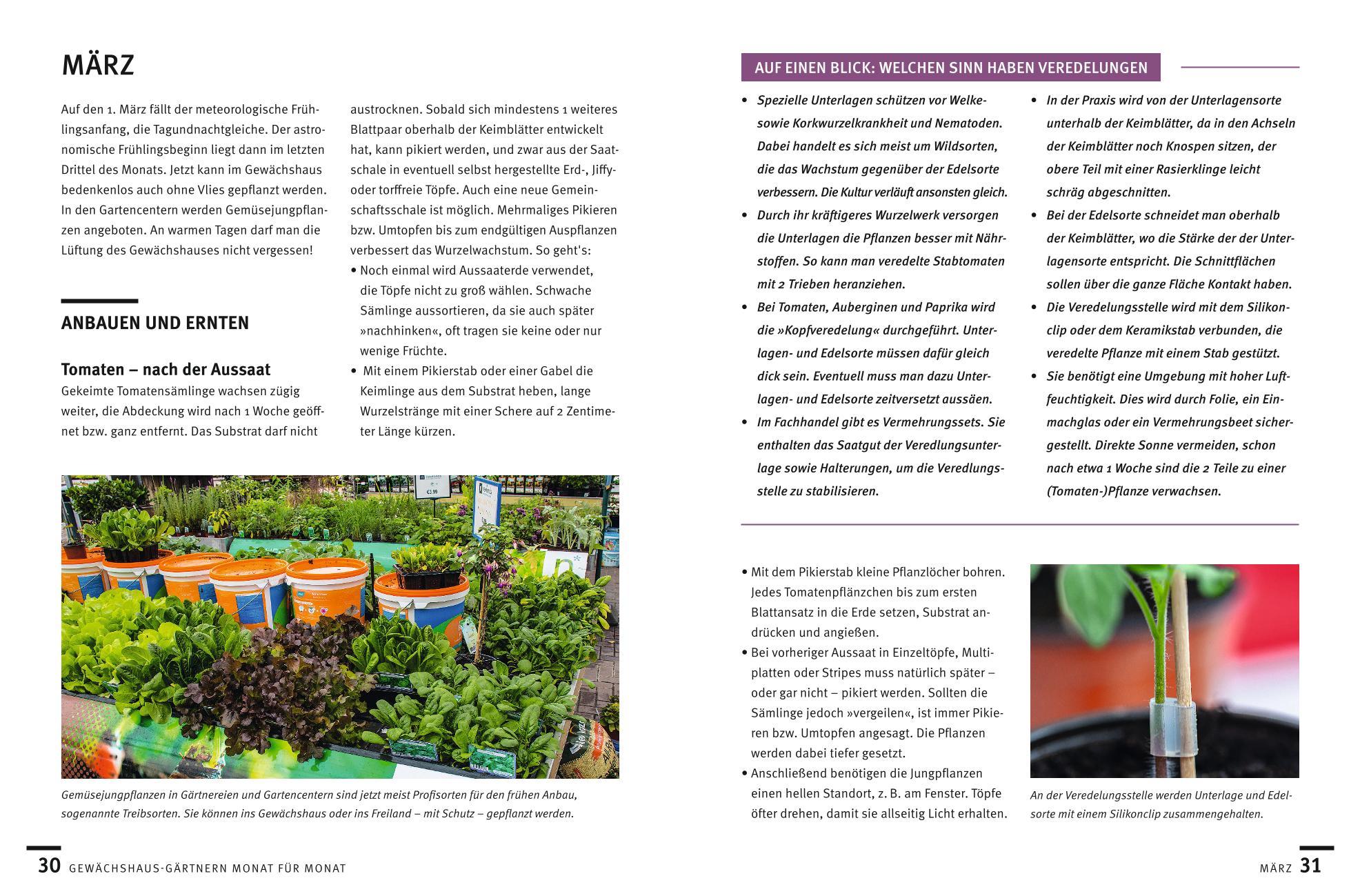 Beispielinhalt (Bild) Gärtnern im Gewächshaus Monat für Monat