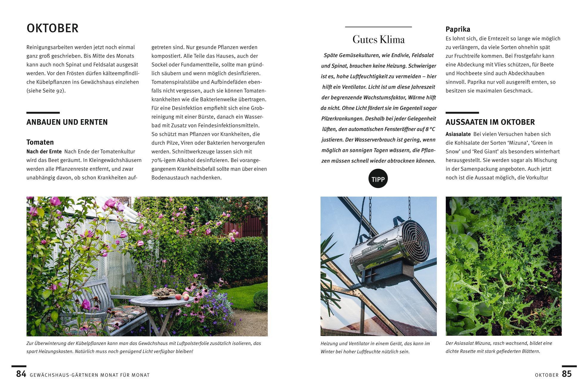 Beispielinhalt (Bild) Gärtnern im Gewächshaus Monat für Monat