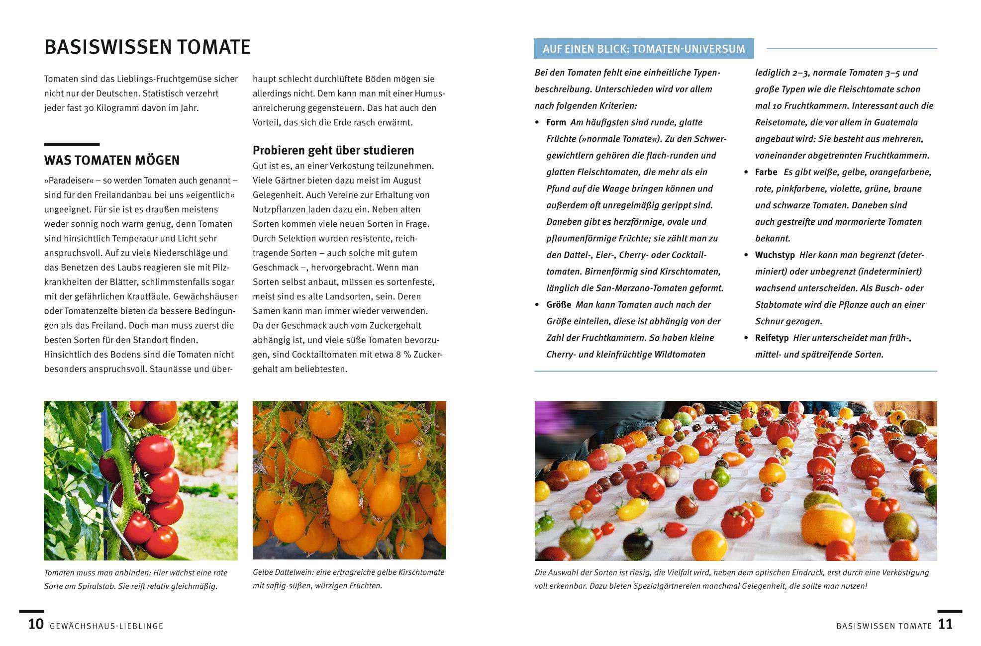 Beispielinhalt (Bild) Gärtnern im Gewächshaus Monat für Monat