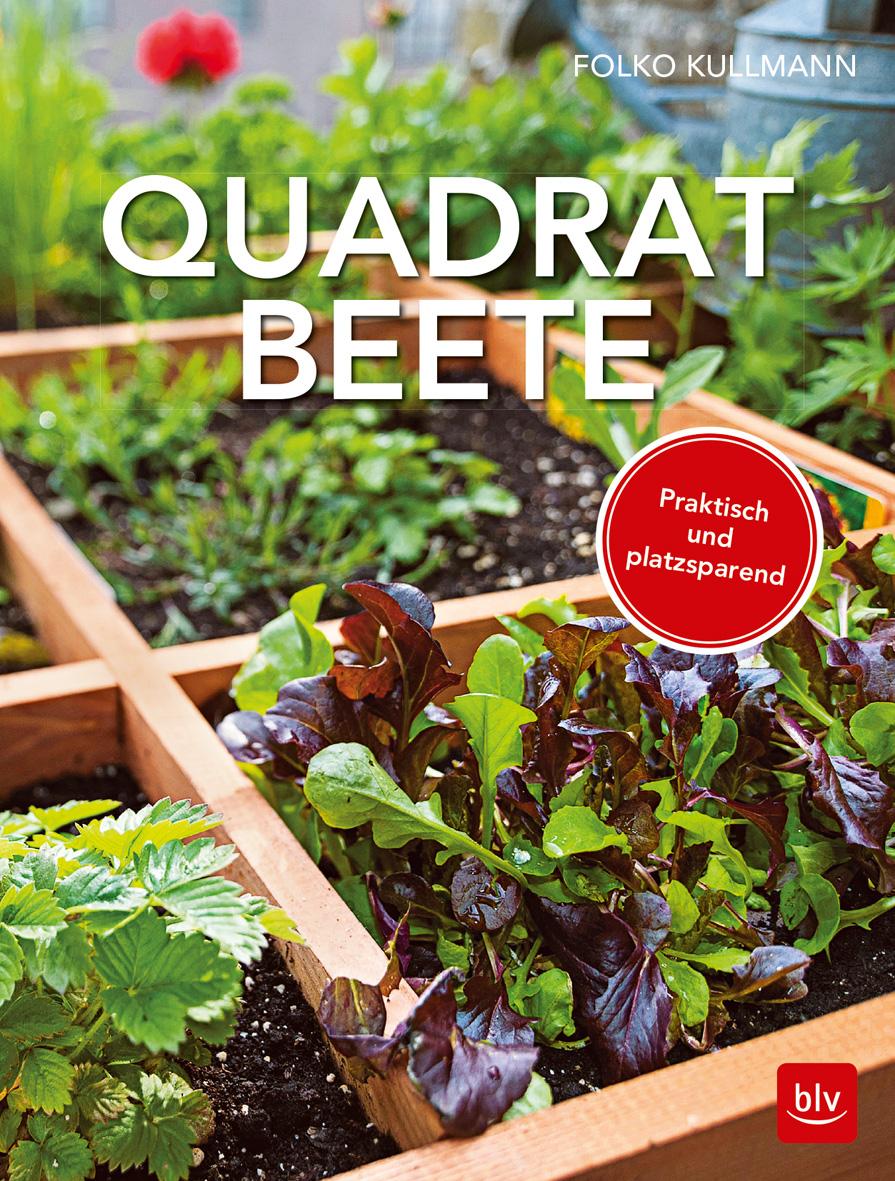 Vorderes Coverbild Quadratbeete