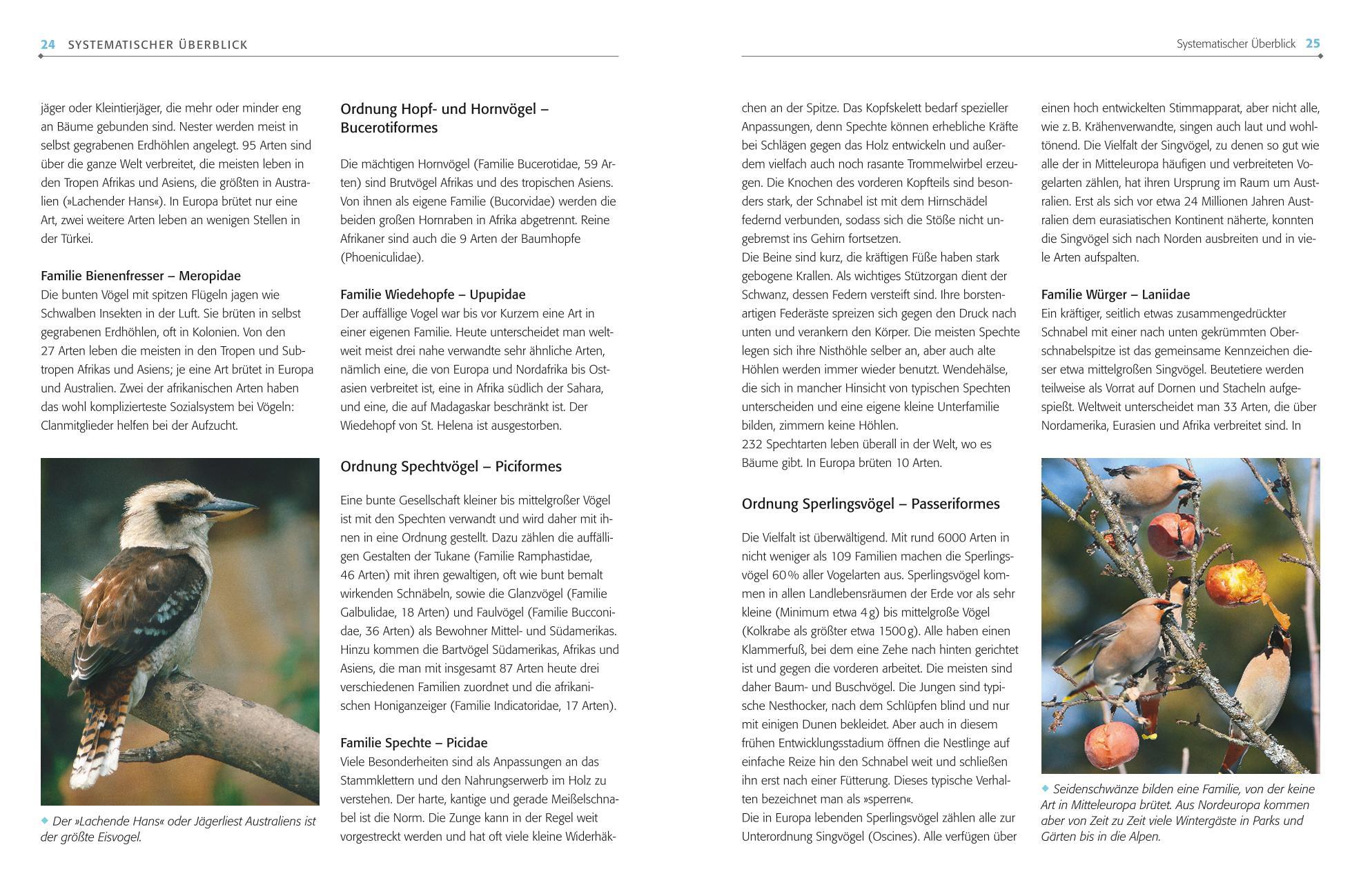 Beispielinhalt (Bild) Das BLV Handbuch Vögel