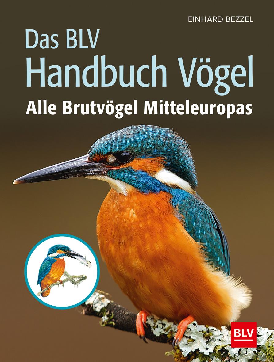 Vorderes Coverbild Das BLV Handbuch Vögel
