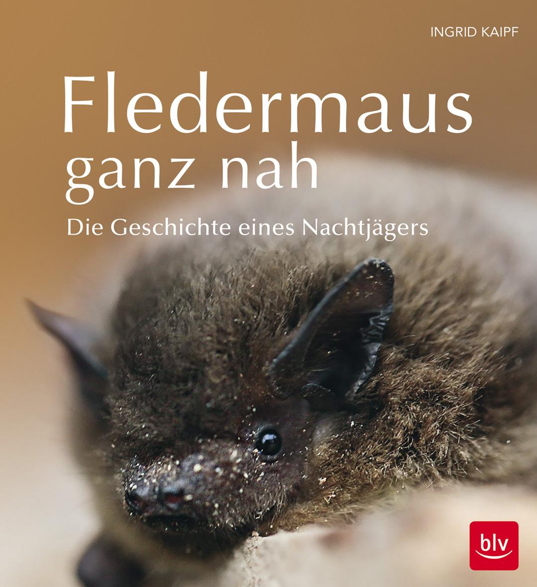 Vorderes Coverbild Fledermaus ganz nah