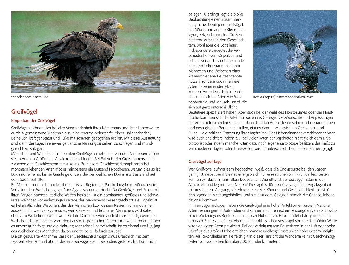 Beispielinhalt (Bild) BLV Greifvögel & Eulen