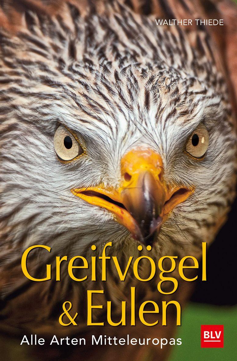 Vorderes Coverbild BLV Greifvögel & Eulen