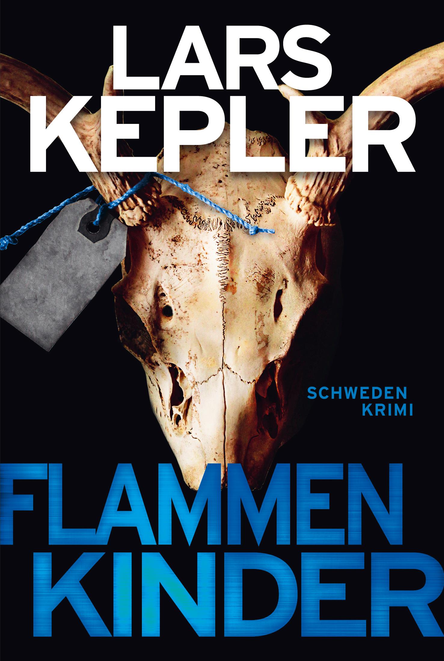 Vorderes Coverbild Flammenkinder