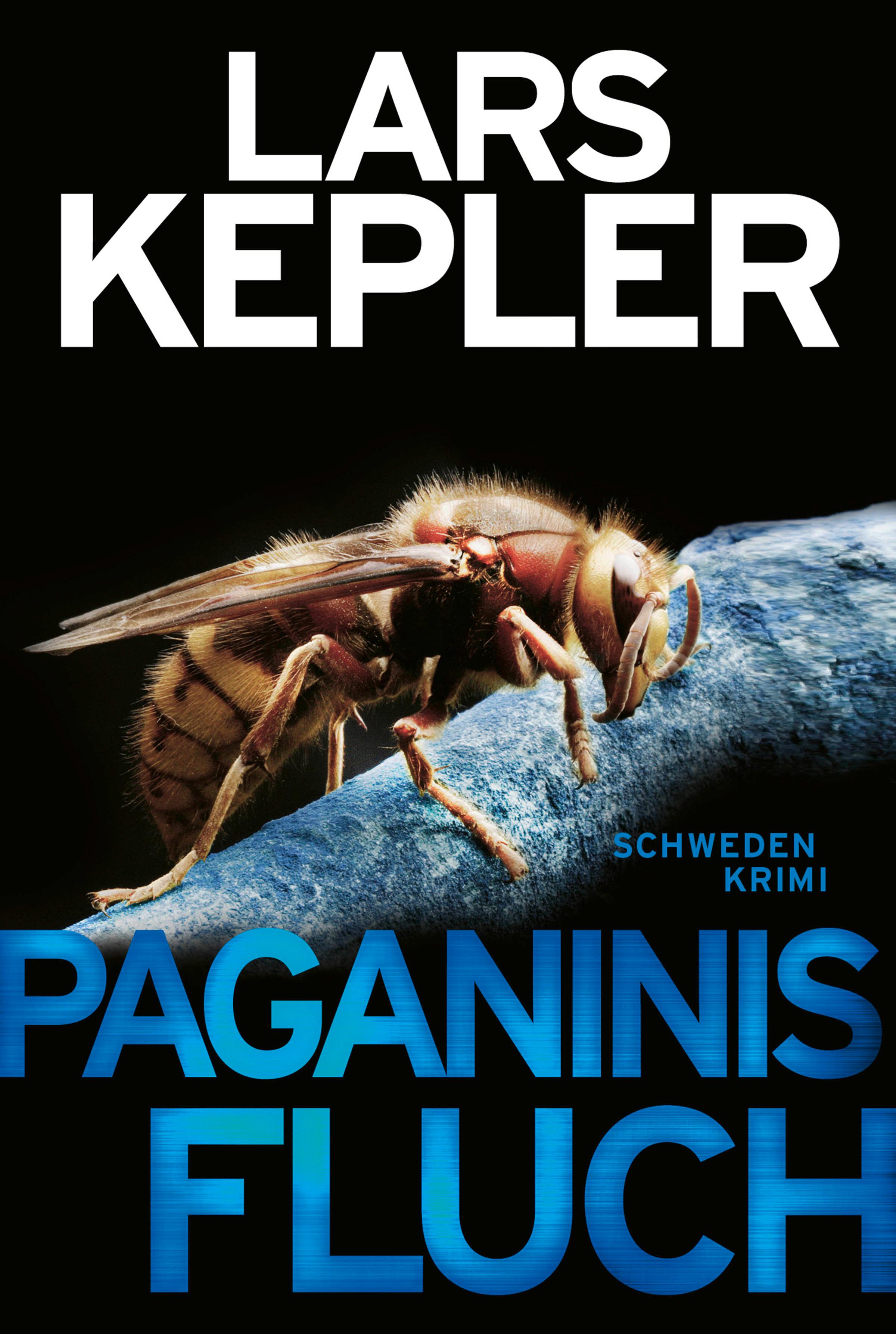 Vorderes Coverbild Paganinis Fluch