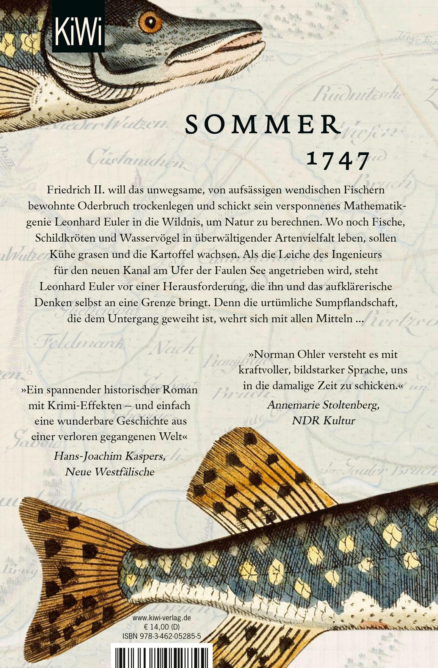 Rückseitencover Die Gleichung des Lebens