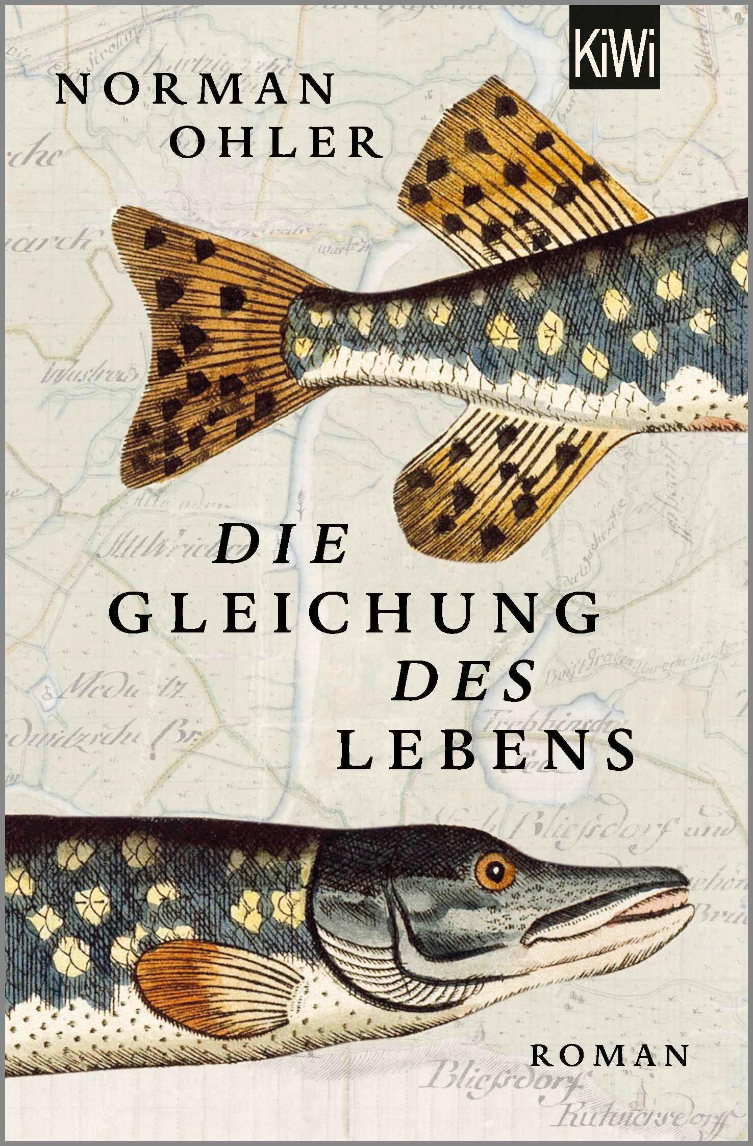 Vorderes Coverbild Die Gleichung des Lebens