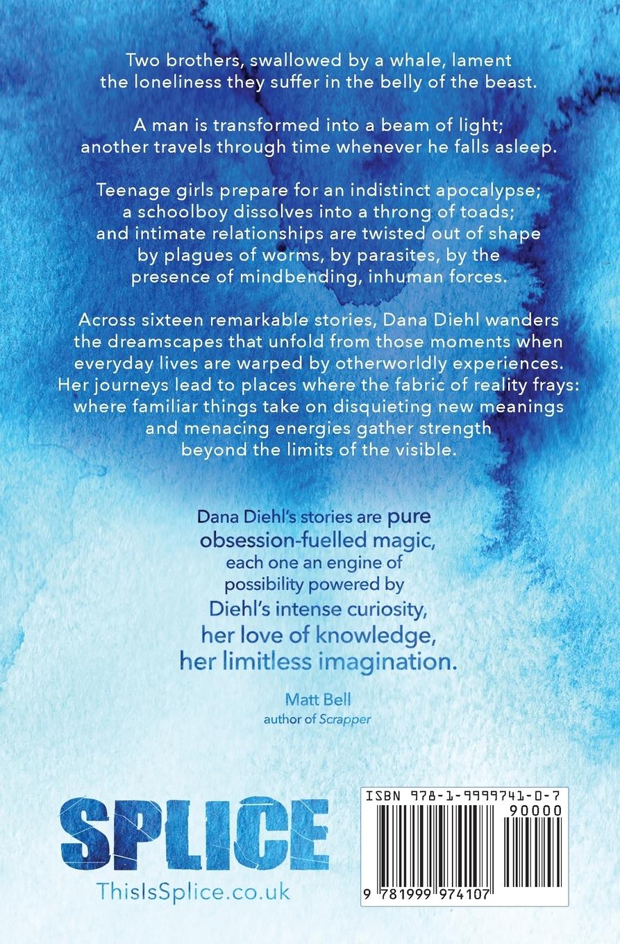 Rückseitencover Our Dreams Might Align