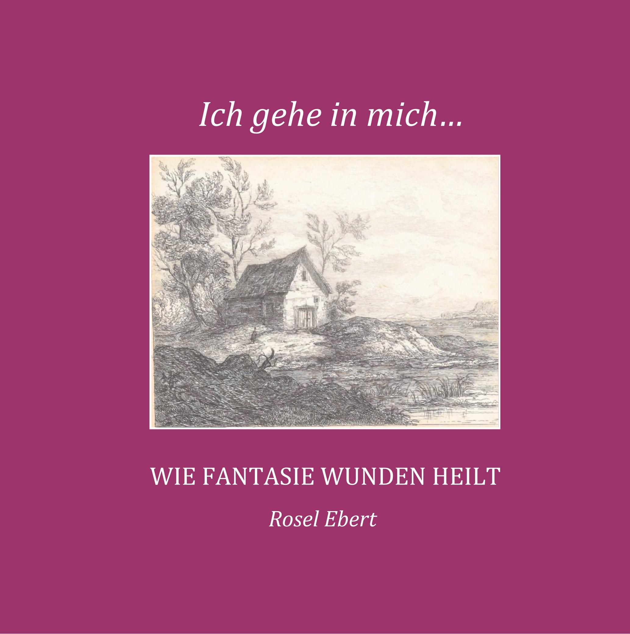 Vorderes Coverbild Ich gehe in mich