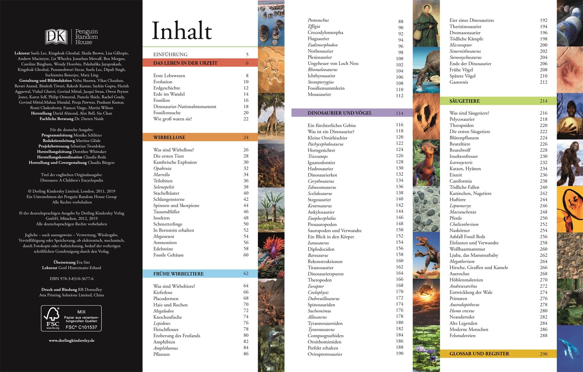 Beispielinhalt (Bild) Dinosaurier und andere Tiere der Urzeit für clevere Kids