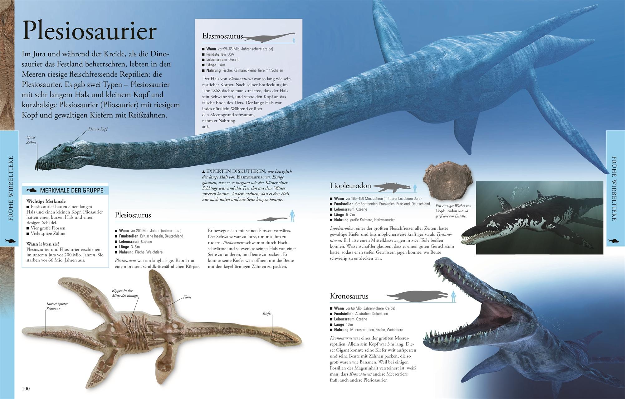 Beispielinhalt (Bild) Dinosaurier und andere Tiere der Urzeit für clevere Kids