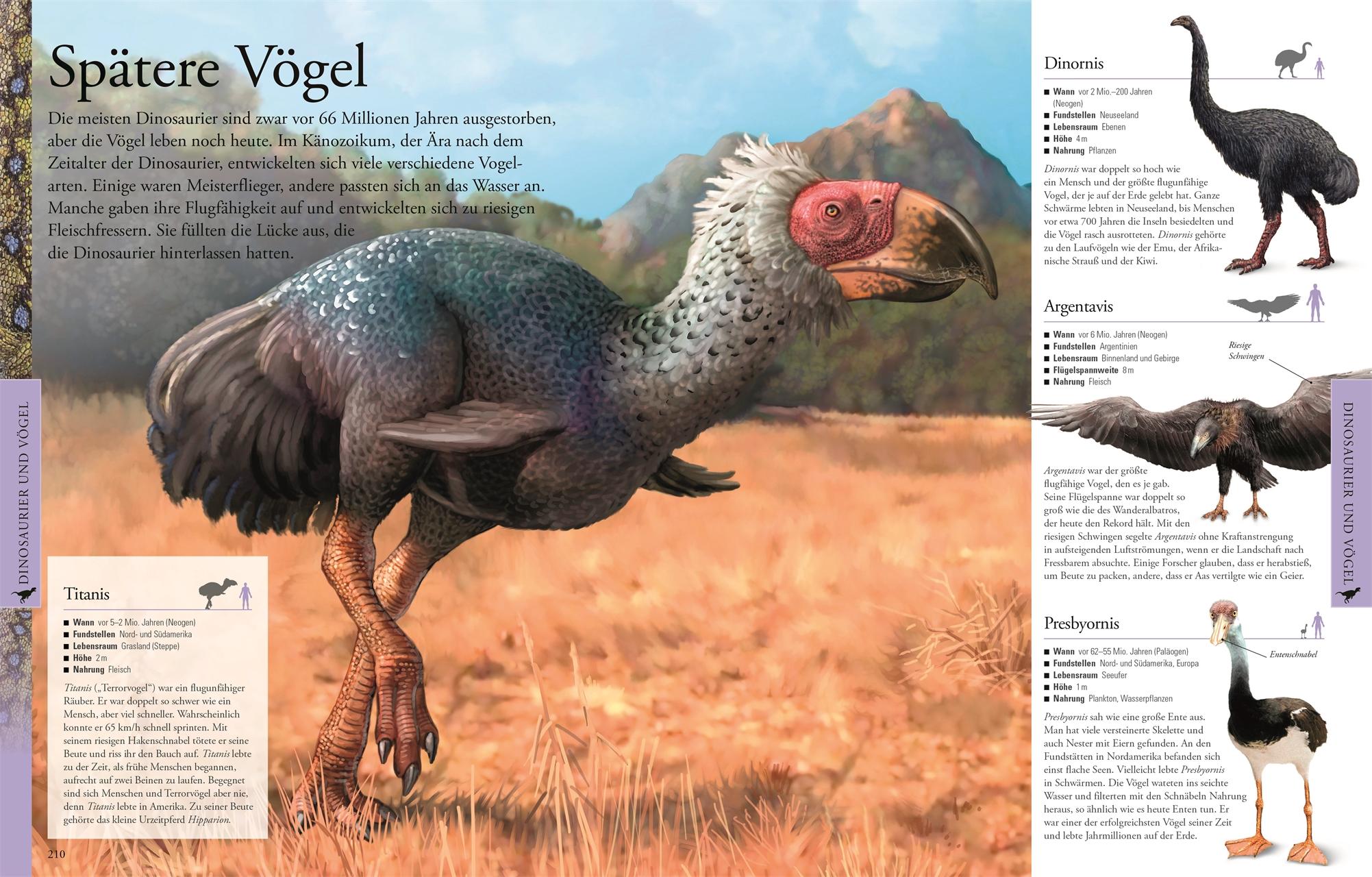 Beispielinhalt (Bild) Dinosaurier und andere Tiere der Urzeit für clevere Kids