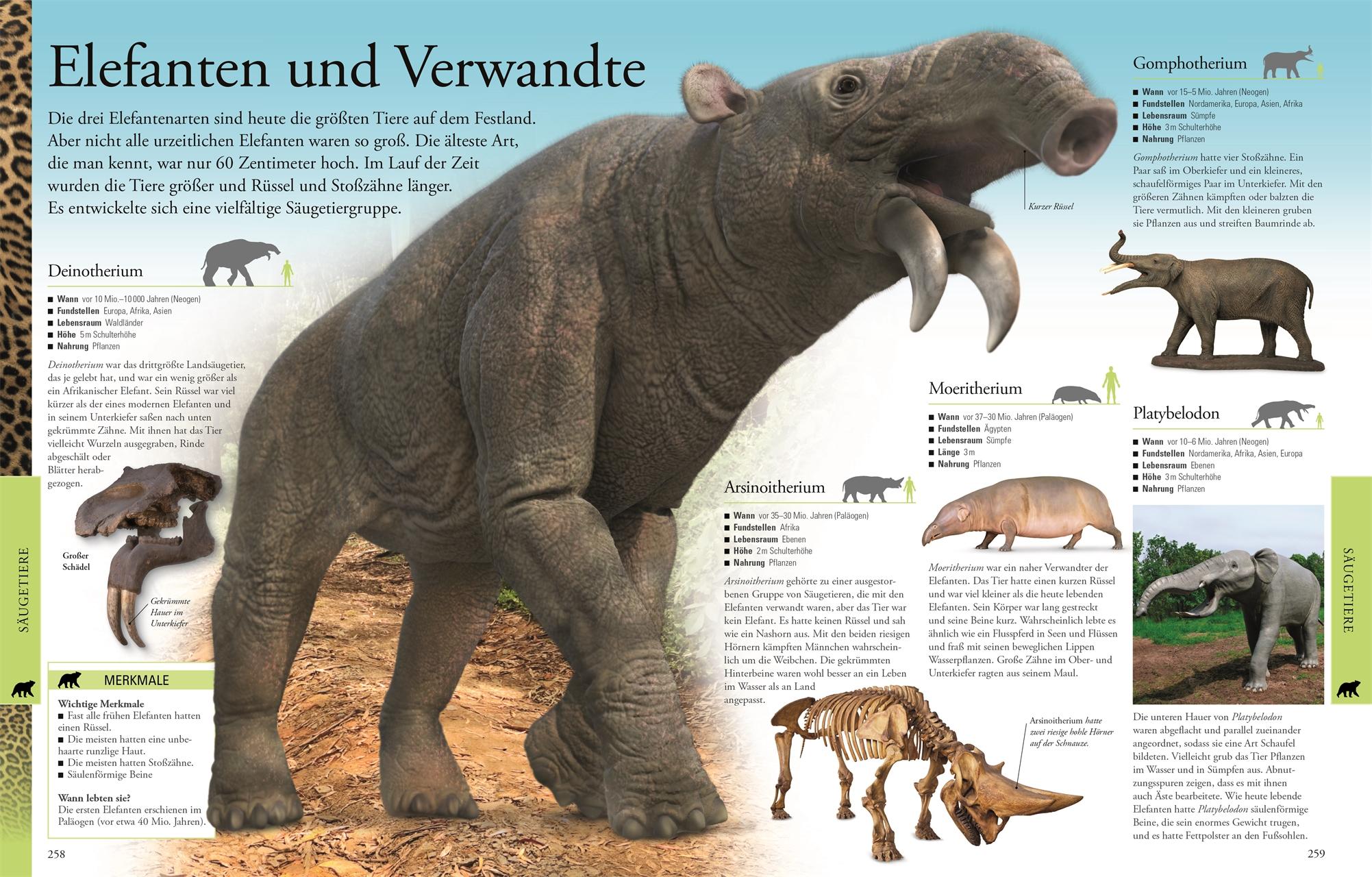 Beispielinhalt (Bild) Dinosaurier und andere Tiere der Urzeit für clevere Kids