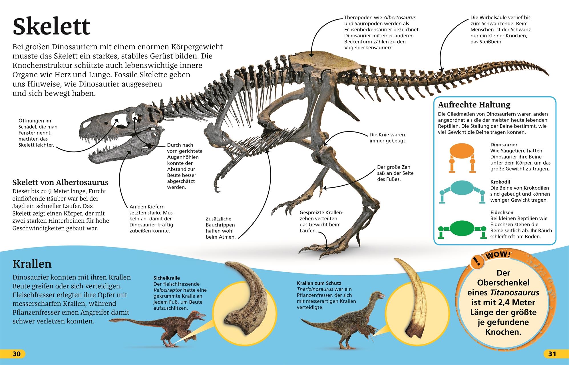 Beispielinhalt (Bild) Superchecker! Dinosaurier