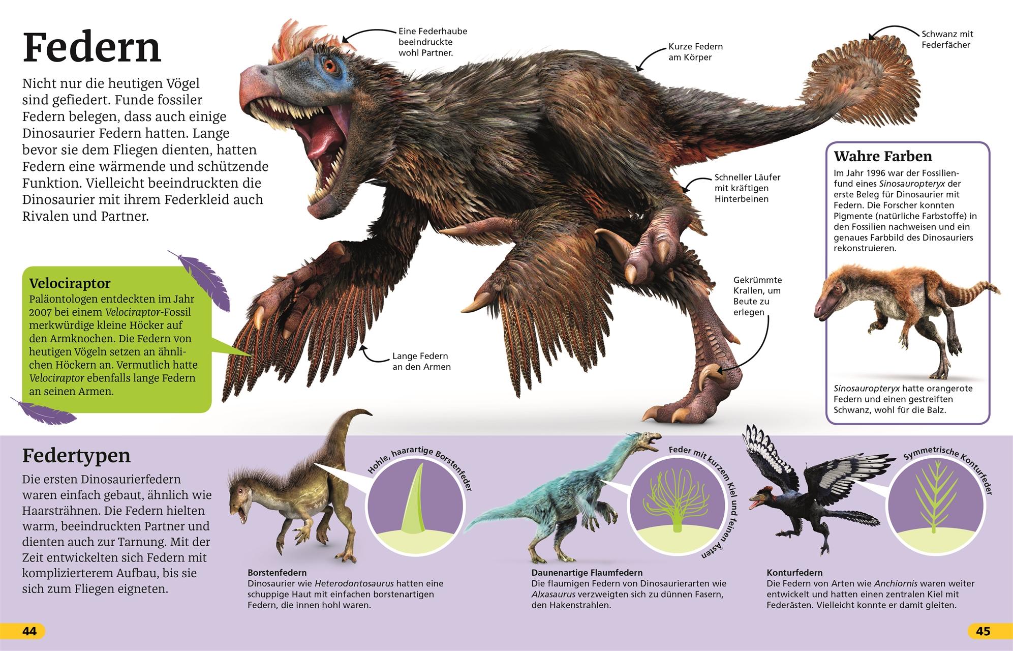 Beispielinhalt (Bild) Superchecker! Dinosaurier