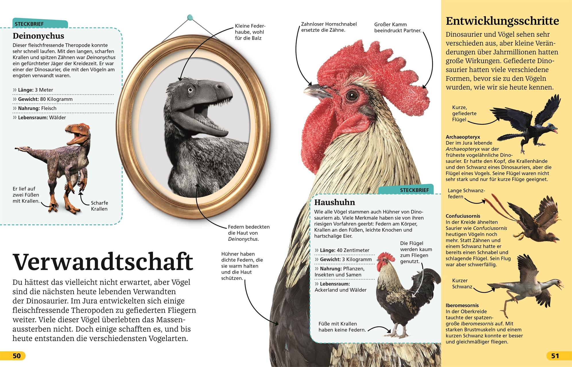 Beispielinhalt (Bild) Superchecker! Dinosaurier