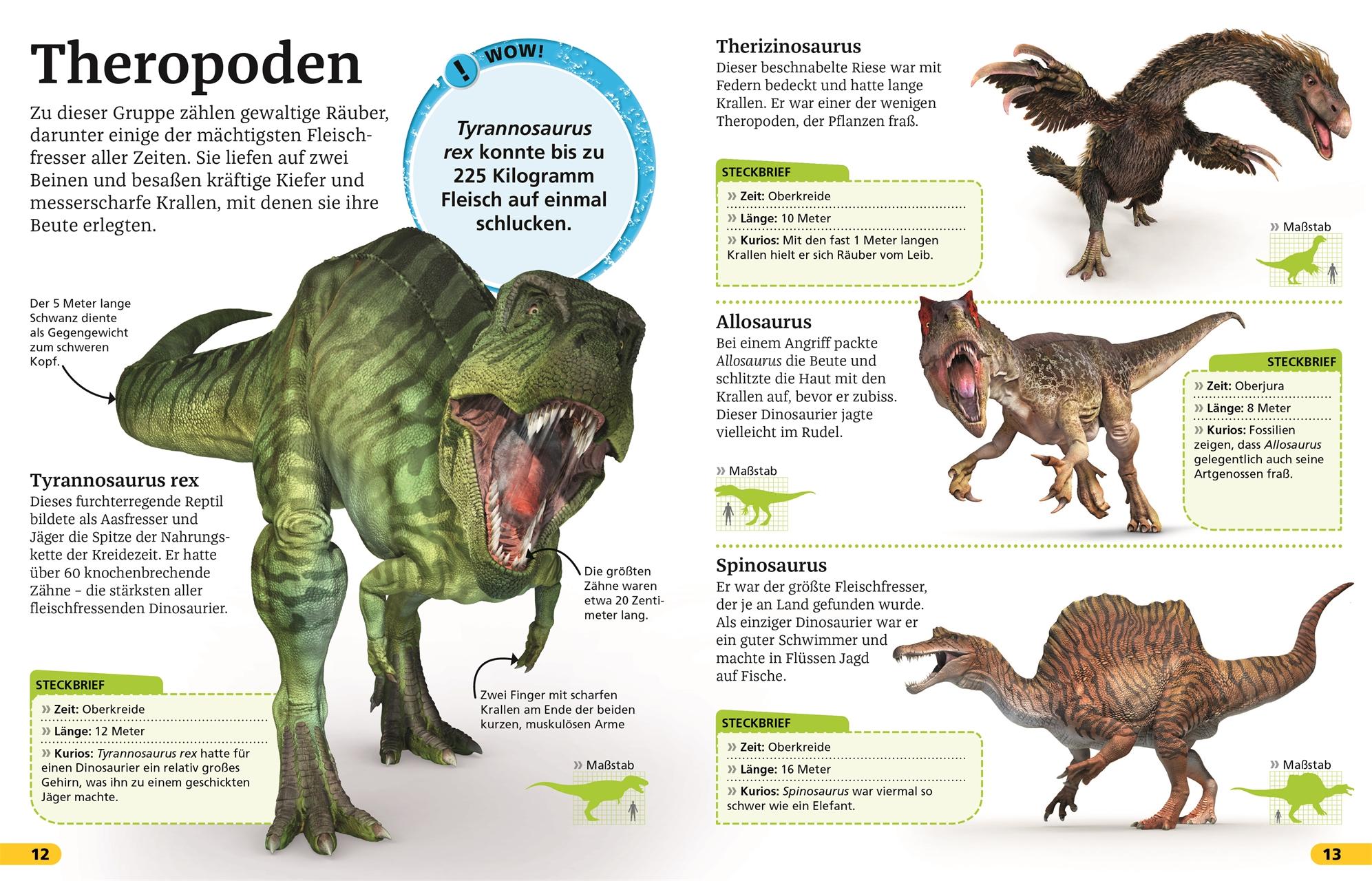 Beispielinhalt (Bild) Superchecker! Dinosaurier