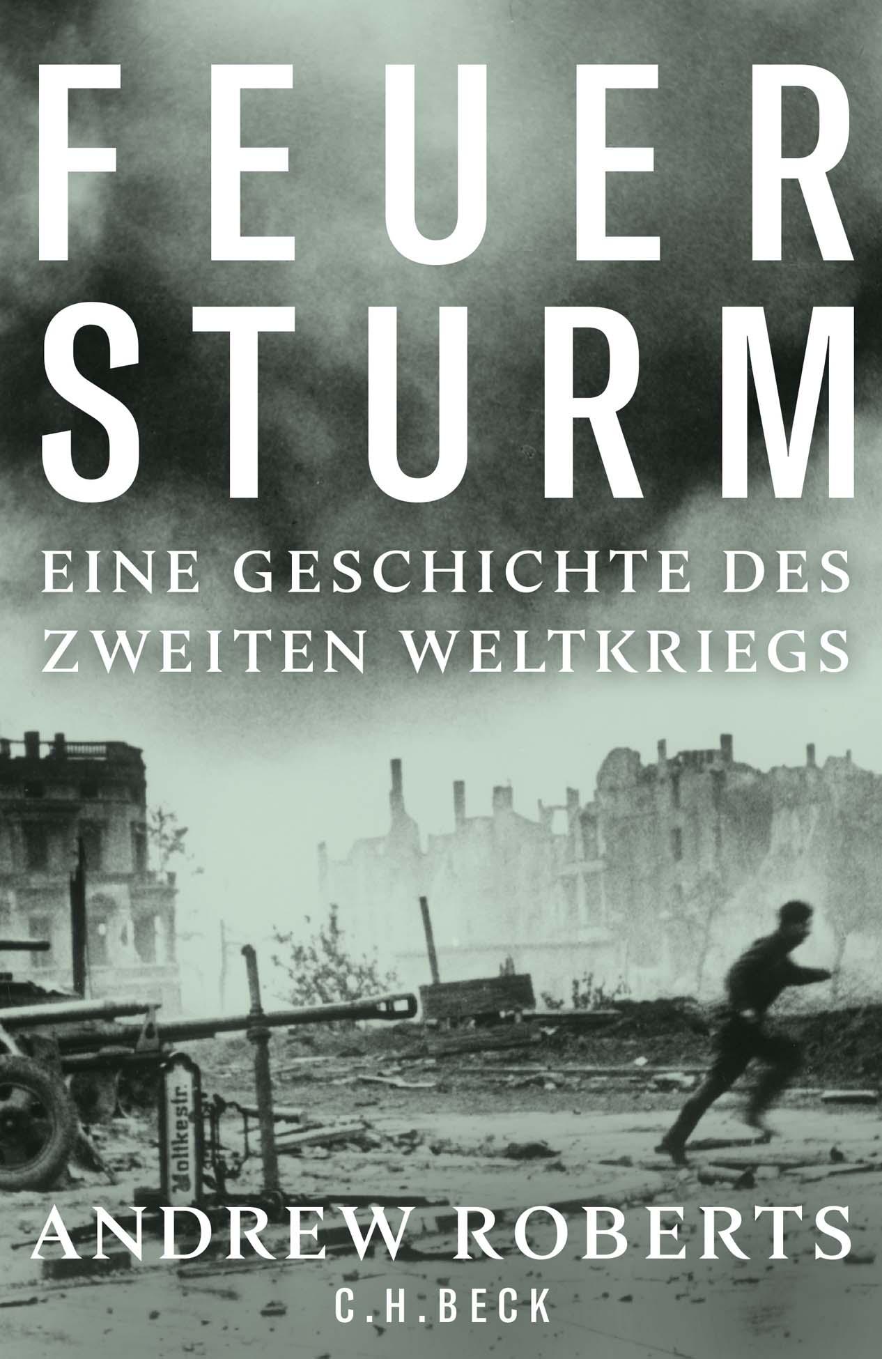 Vorderes Coverbild Feuersturm