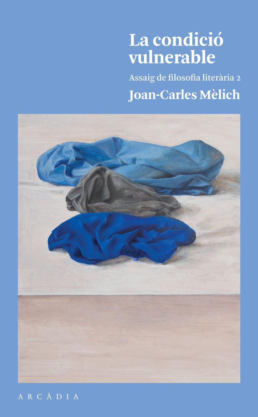 Vorderes Coverbild La condició vulnerable : assaig de filosofia literària 2