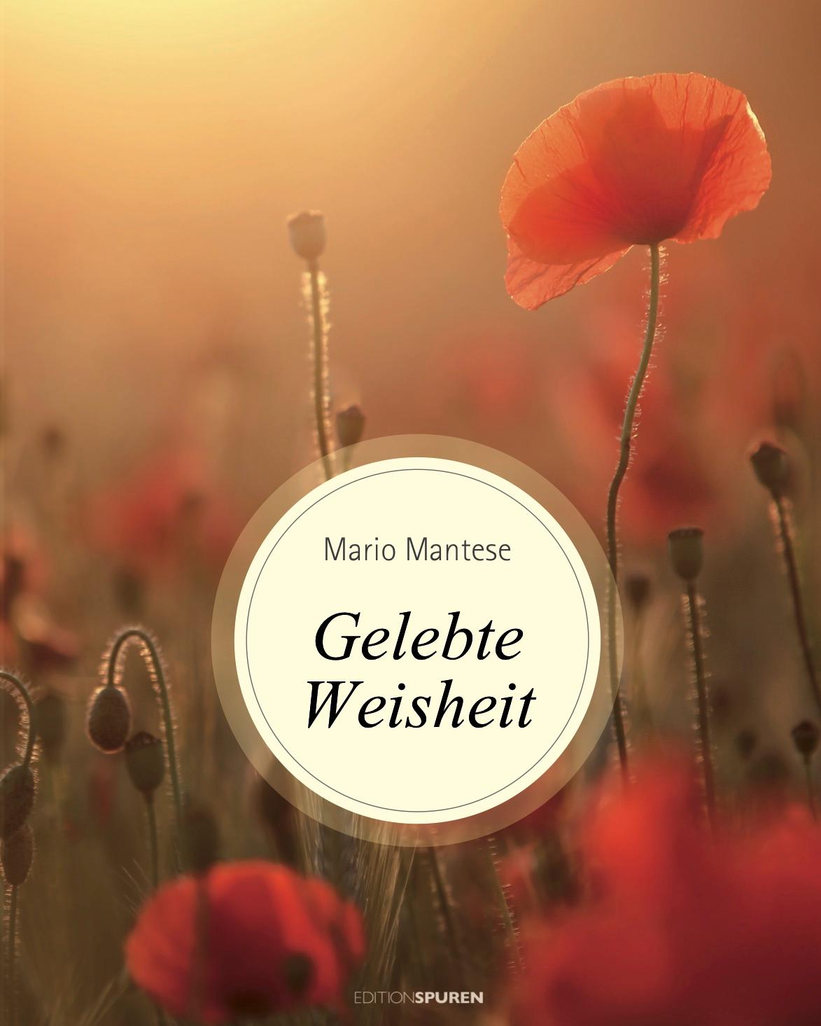 Vorderes Coverbild Gelebte Weisheit