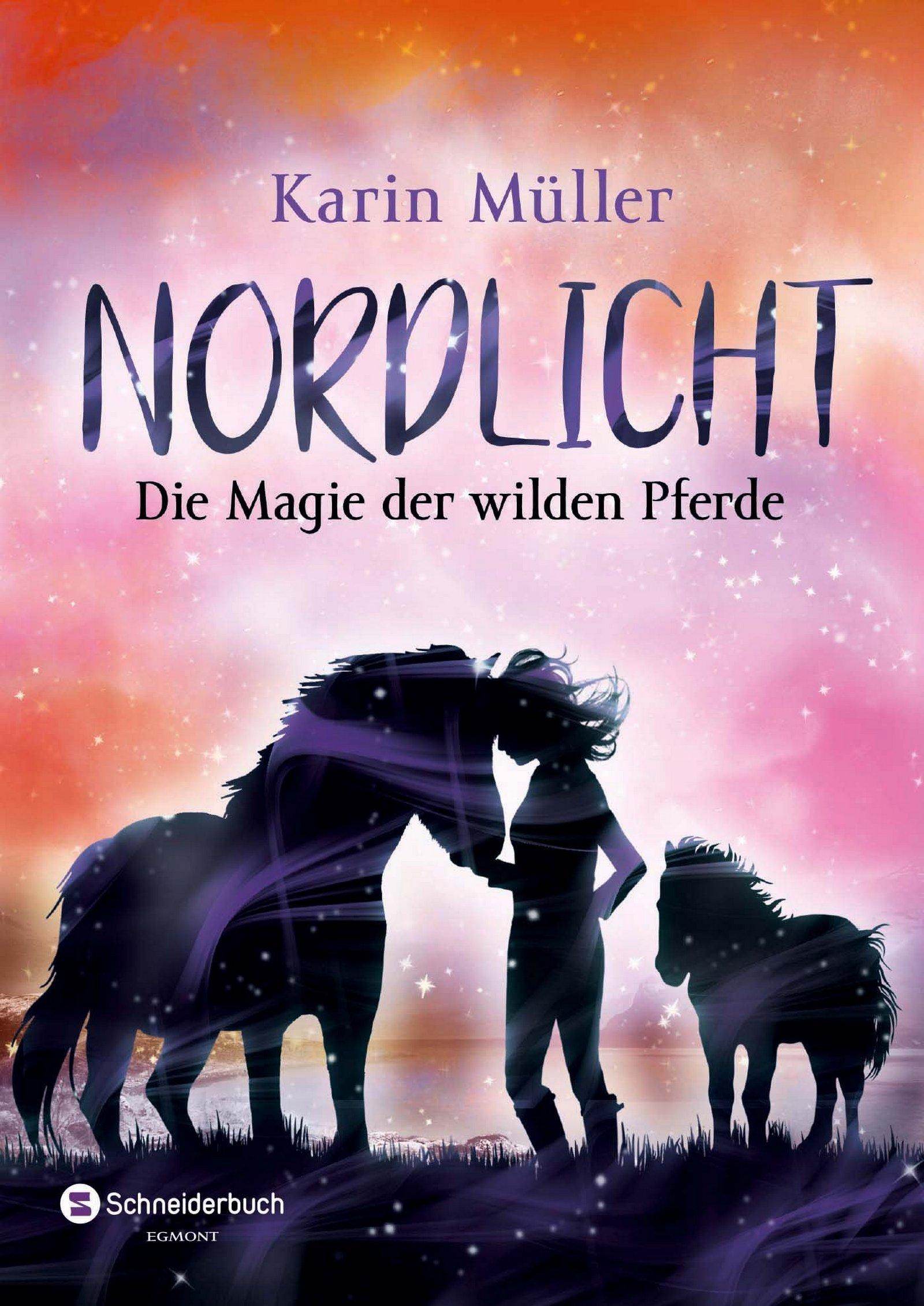Vorderes Coverbild Nordlicht, Band 03