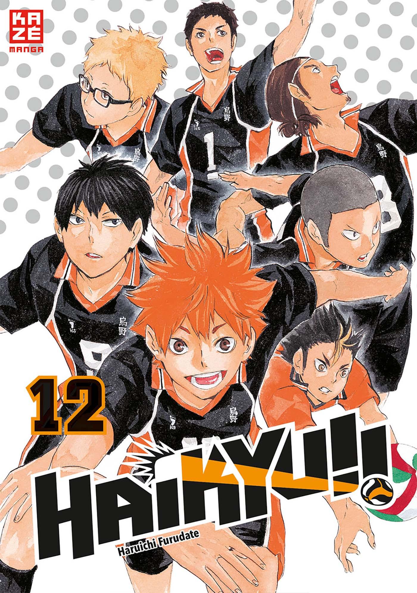 Vorderes Coverbild Haikyu!! 12