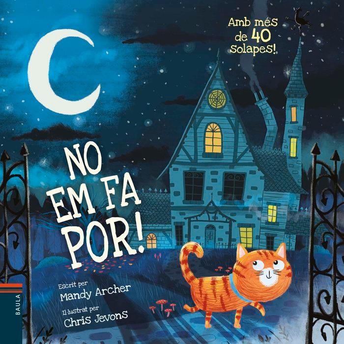Vorderes Coverbild No em fa por!
