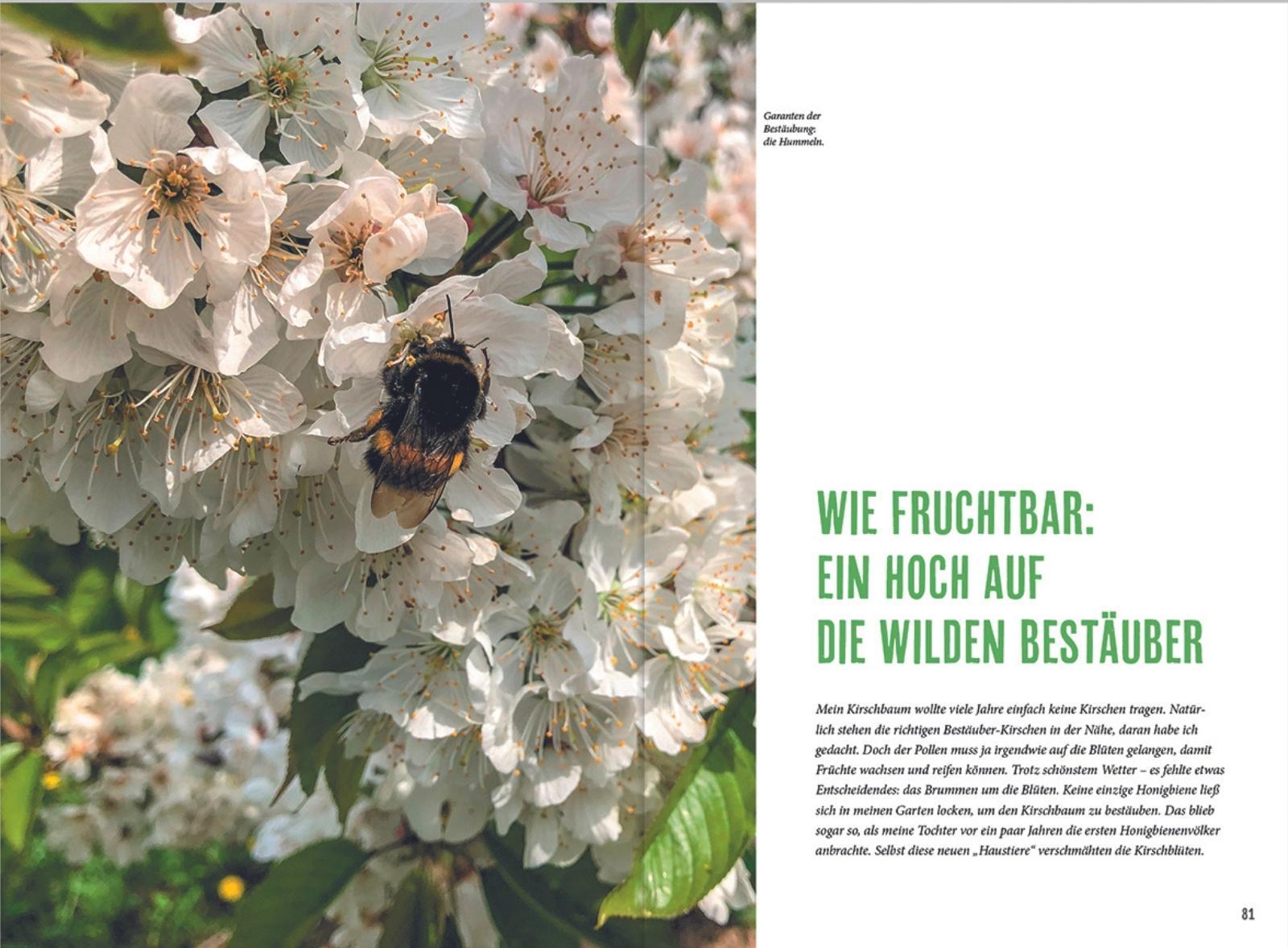 Beispielinhalt (Bild) MDR Garten - Richtig gärtnern für Nützlinge