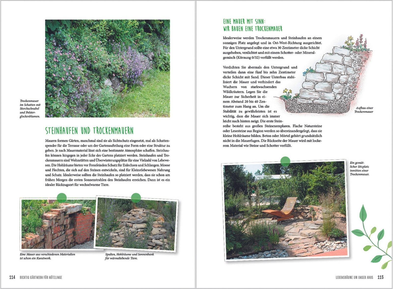 Beispielinhalt (Bild) MDR Garten - Richtig gärtnern für Nützlinge