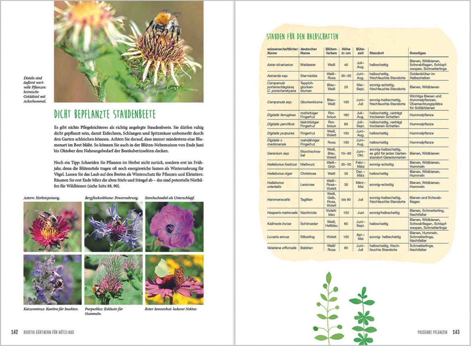 Beispielinhalt (Bild) MDR Garten - Richtig gärtnern für Nützlinge