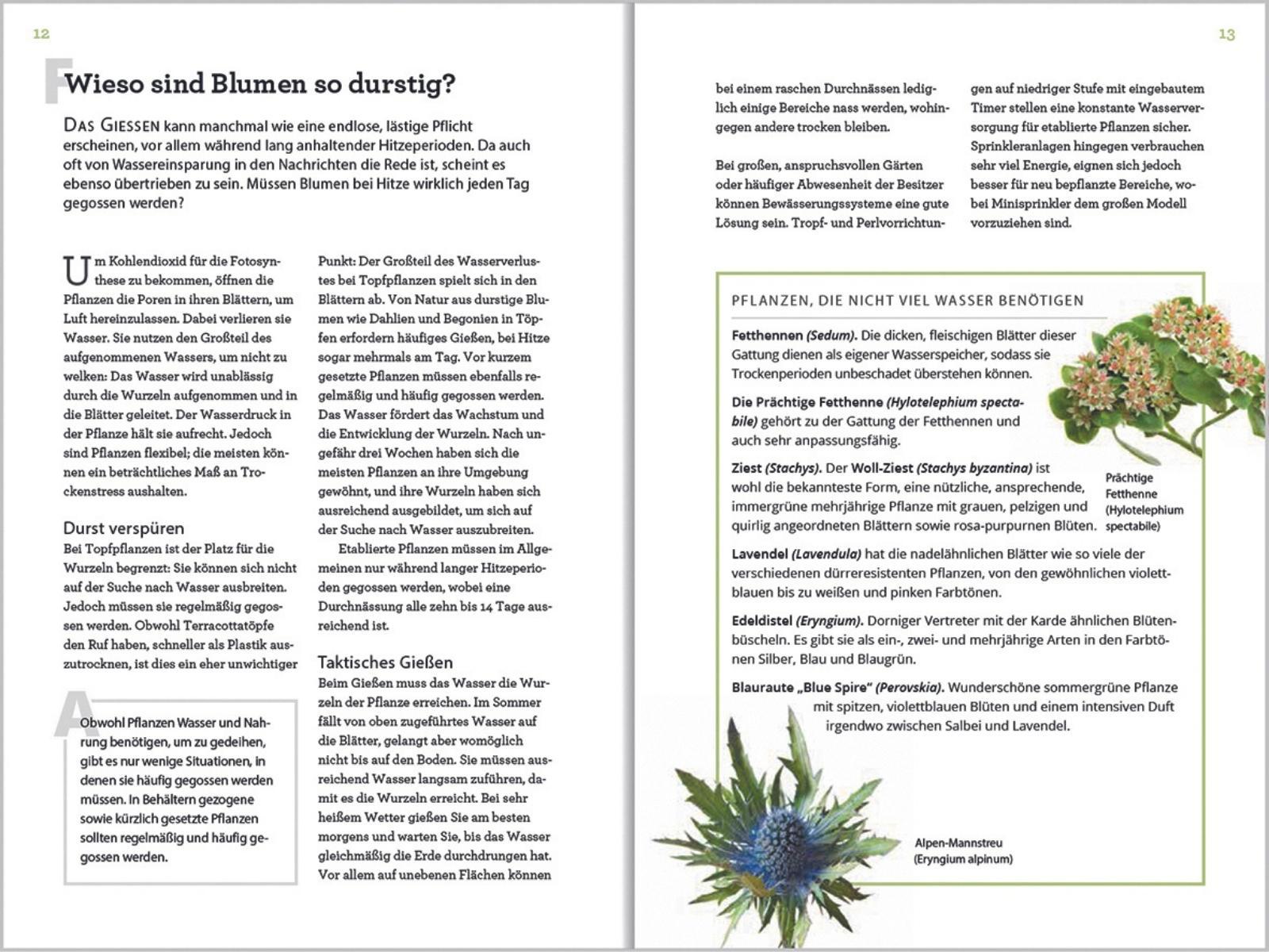 Beispielinhalt (Bild) Wer klaut meine Äpfel aus dem Garten