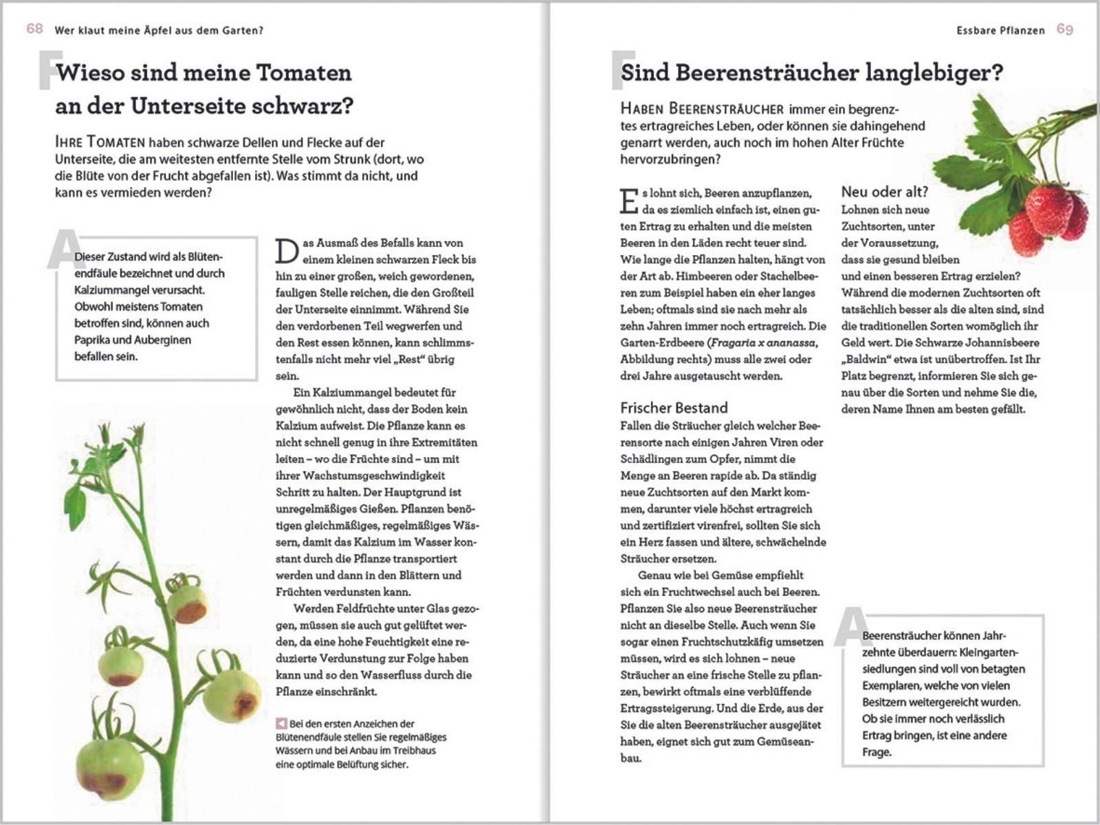 Beispielinhalt (Bild) Wer klaut meine Äpfel aus dem Garten