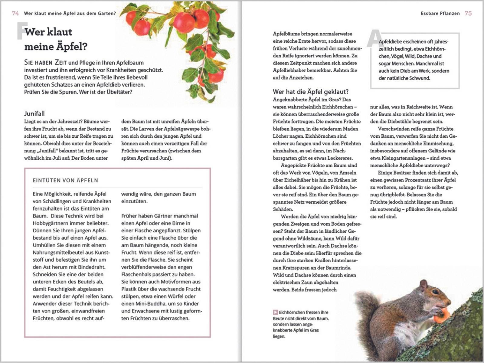 Beispielinhalt (Bild) Wer klaut meine Äpfel aus dem Garten