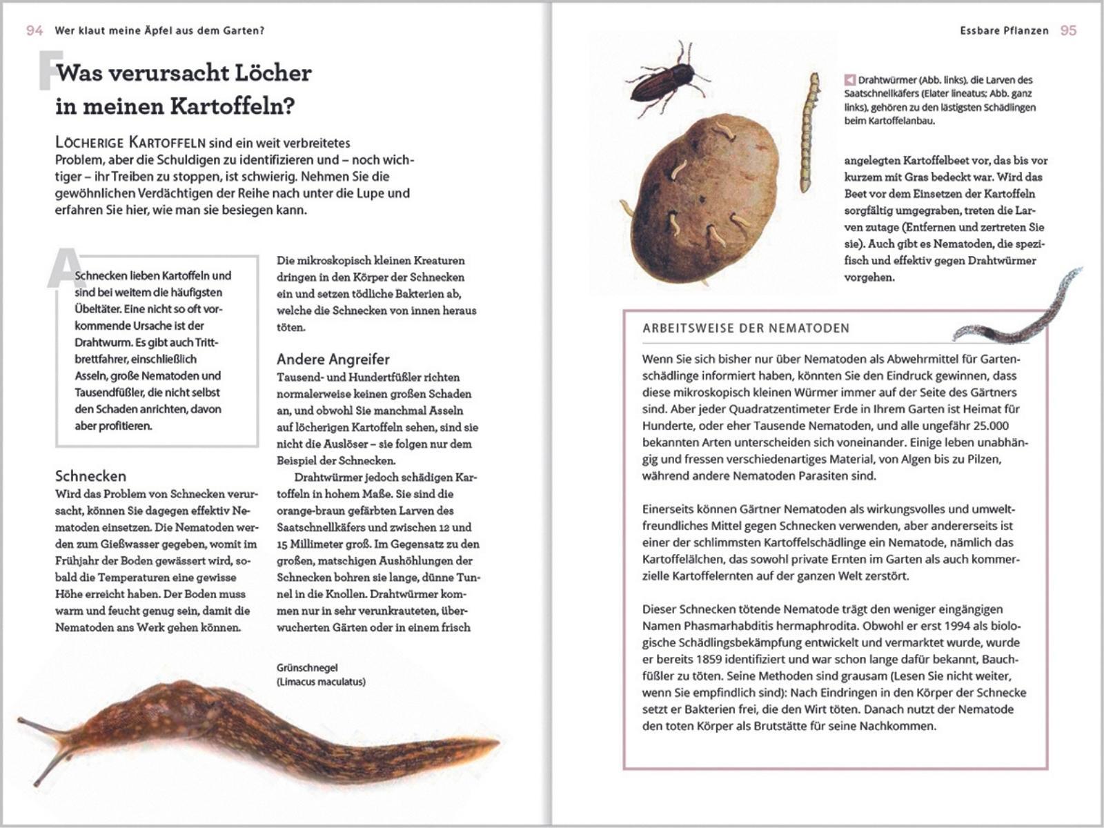 Beispielinhalt (Bild) Wer klaut meine Äpfel aus dem Garten