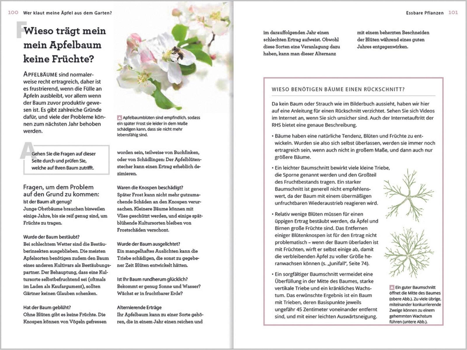 Beispielinhalt (Bild) Wer klaut meine Äpfel aus dem Garten