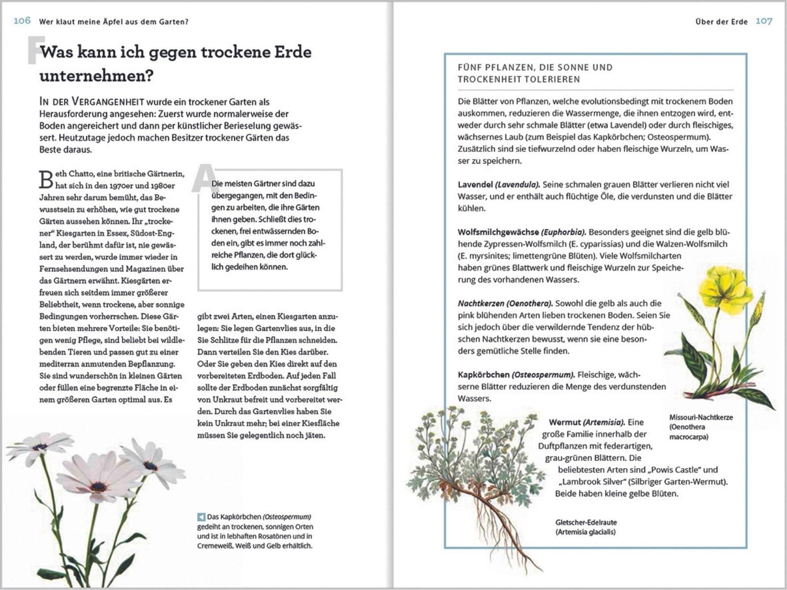 Beispielinhalt (Bild) Wer klaut meine Äpfel aus dem Garten