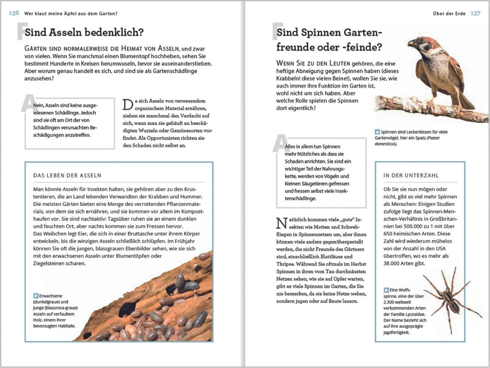 Beispielinhalt (Bild) Wer klaut meine Äpfel aus dem Garten