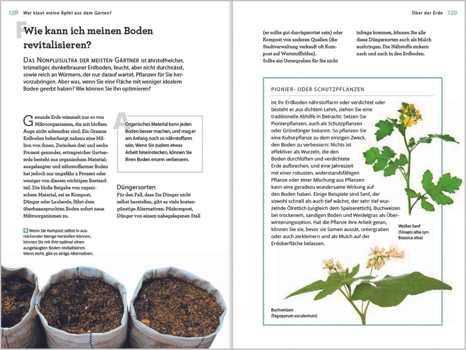 Beispielinhalt (Bild) Wer klaut meine Äpfel aus dem Garten