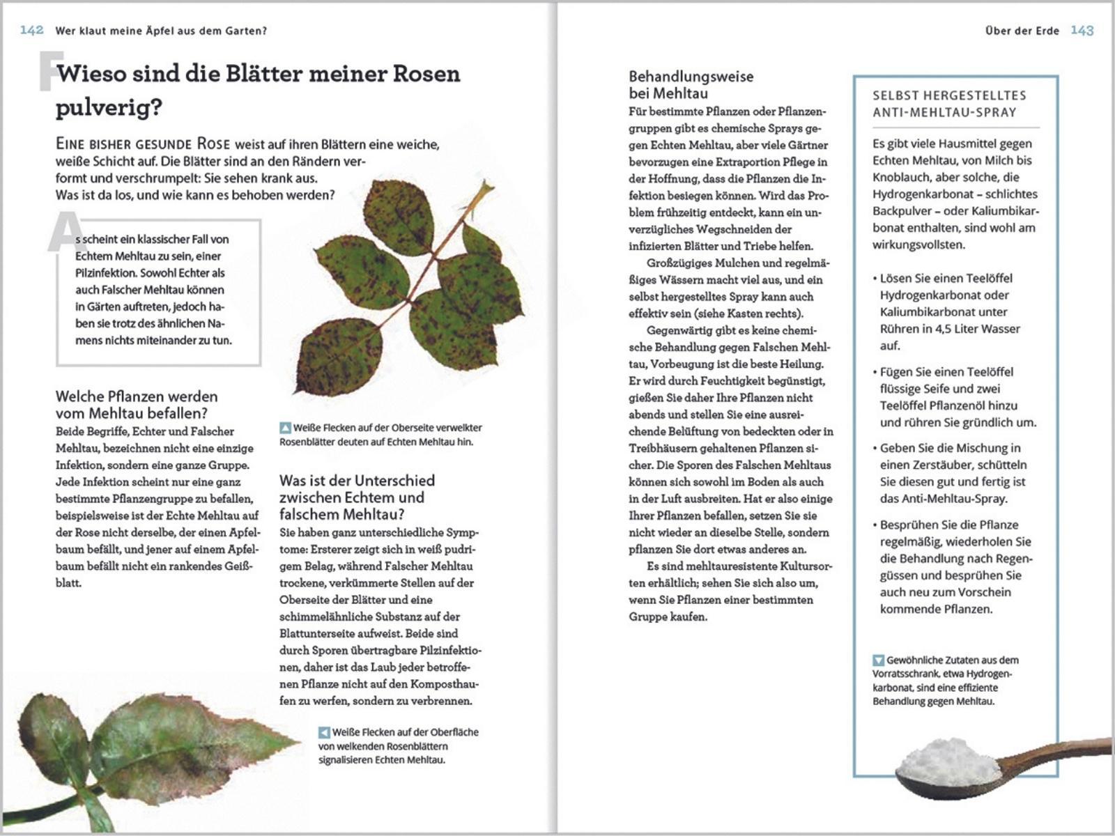 Beispielinhalt (Bild) Wer klaut meine Äpfel aus dem Garten