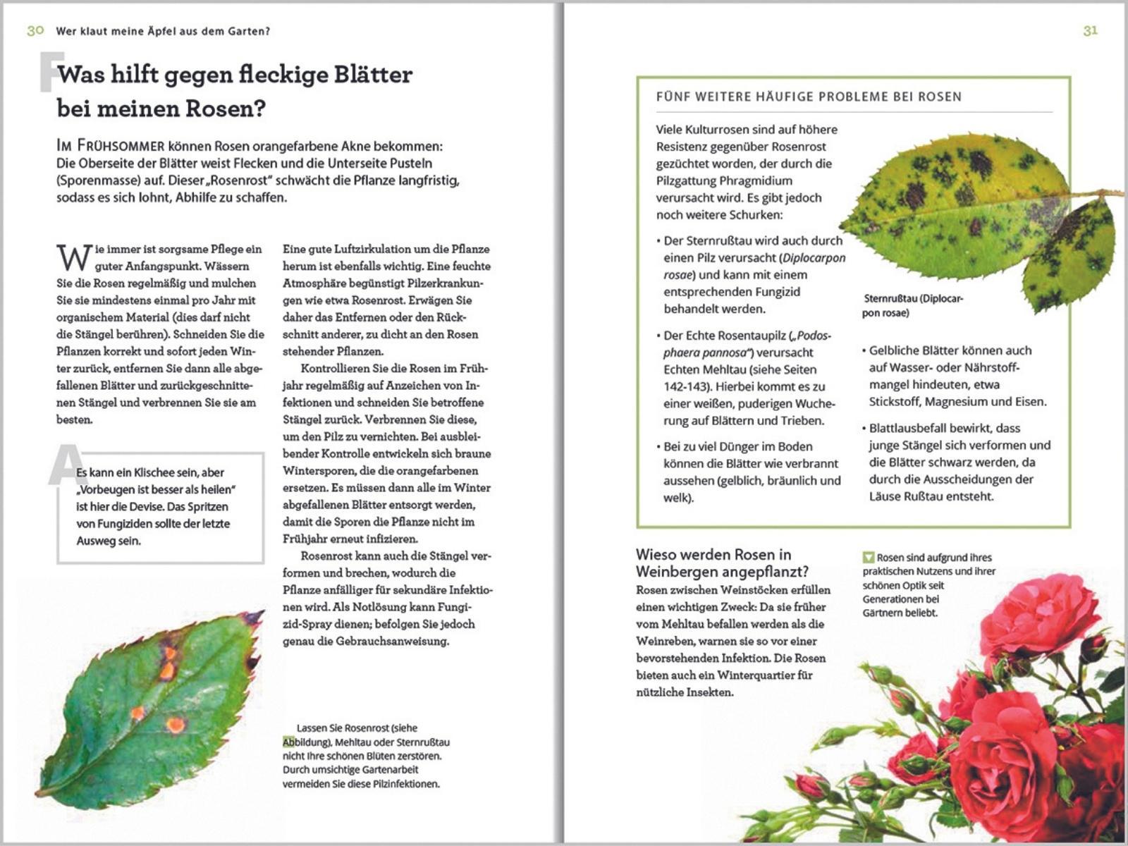 Beispielinhalt (Bild) Wer klaut meine Äpfel aus dem Garten