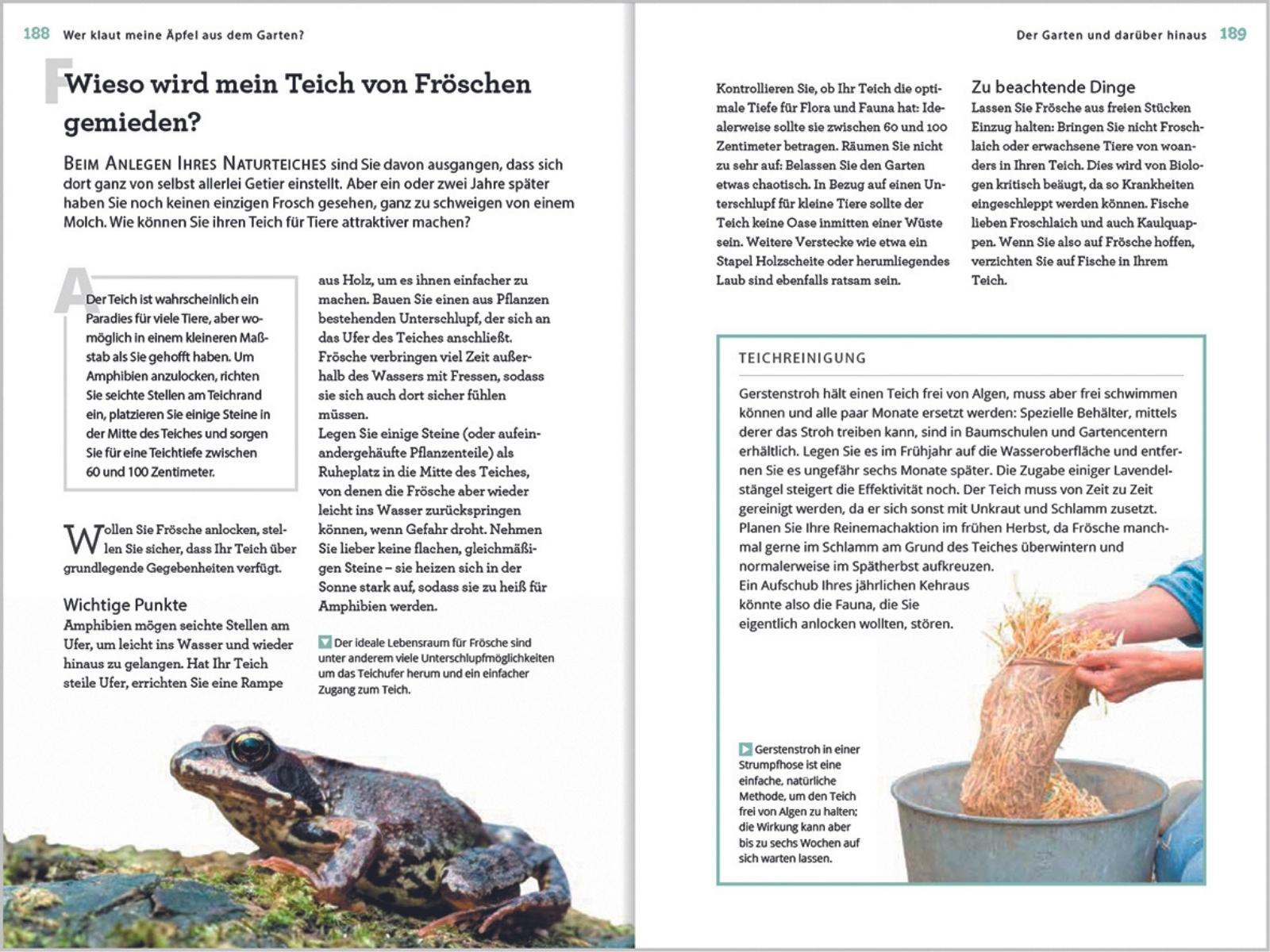 Beispielinhalt (Bild) Wer klaut meine Äpfel aus dem Garten