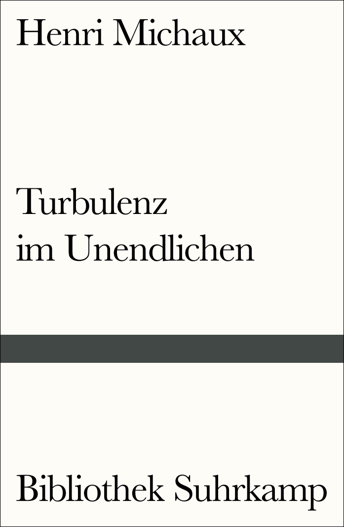 Vorderes Coverbild Turbulenz im Unendlichen