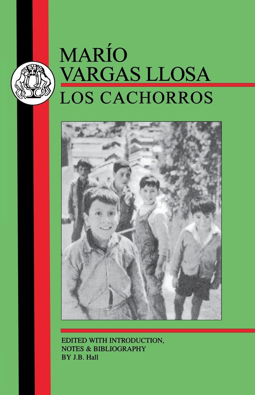 Vorderes Coverbild Vargas Llosa