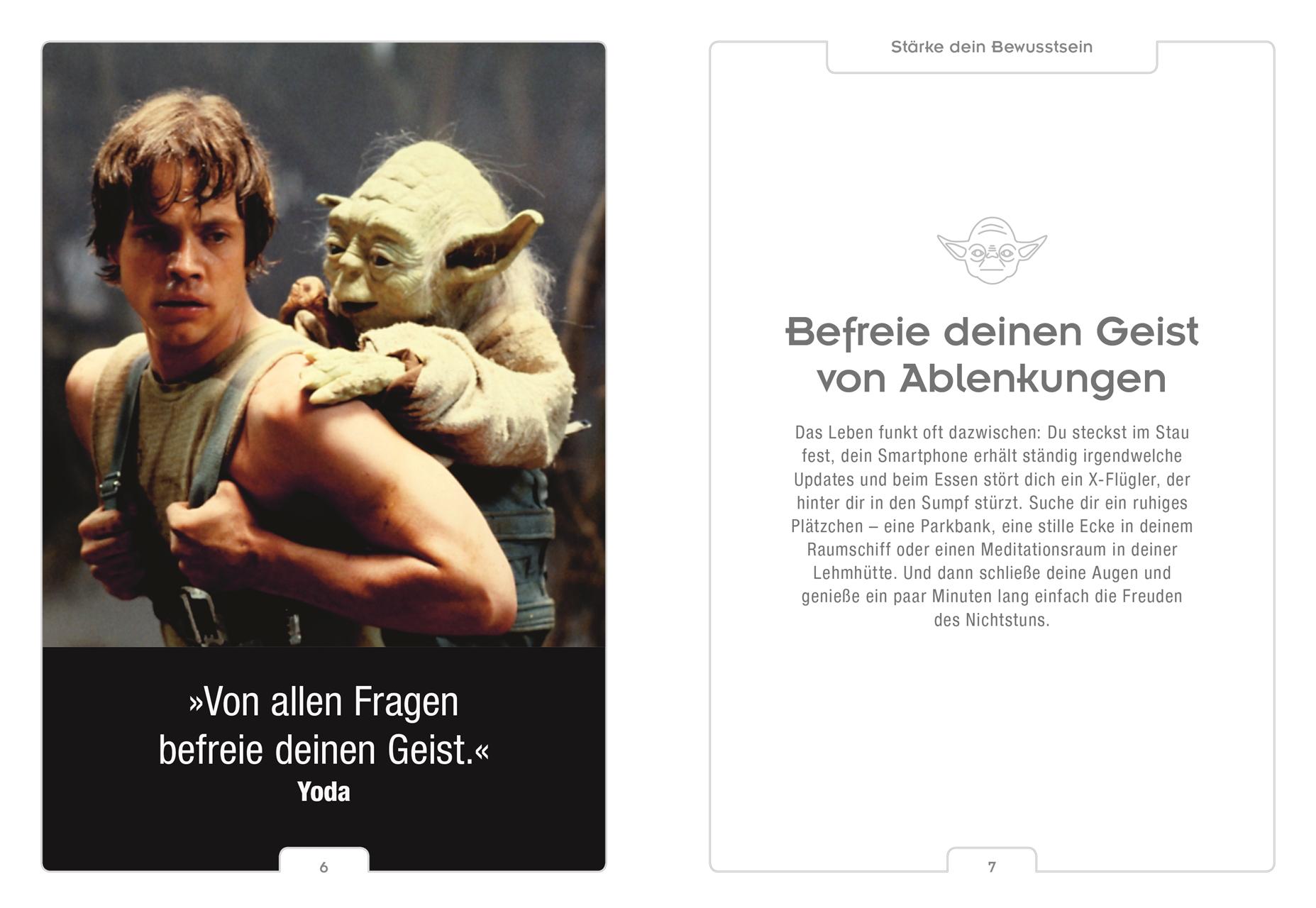 Beispielinhalt (Bild) Star Wars(TM) Entdecke den Yoda in dir