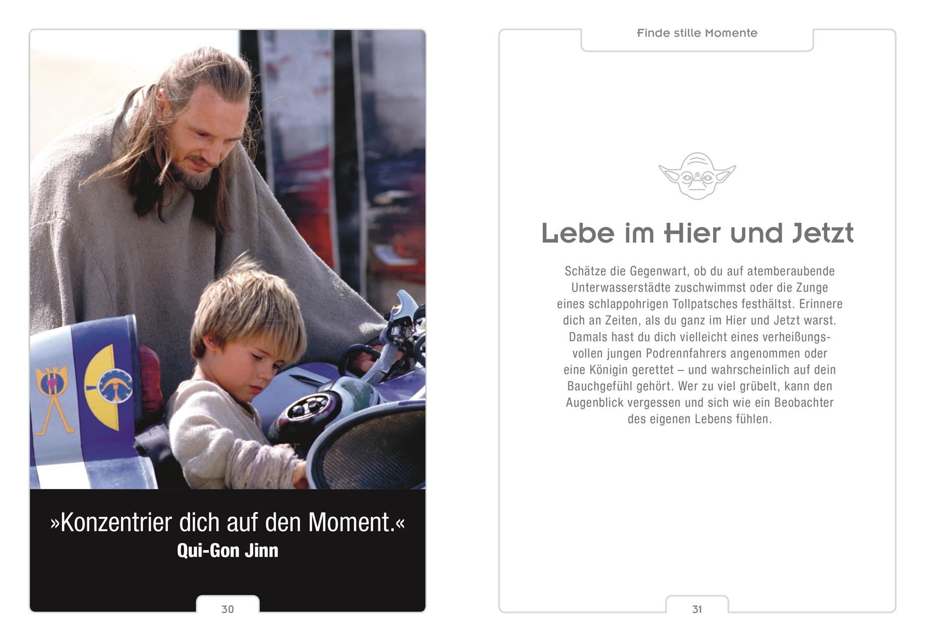 Beispielinhalt (Bild) Star Wars(TM) Entdecke den Yoda in dir