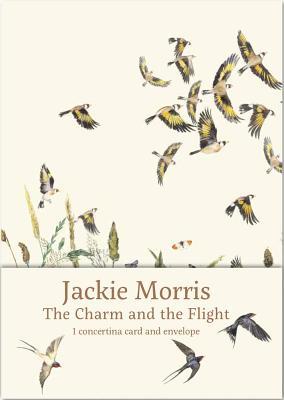 Vorderes Coverbild The Charm and the Flight Concertina Card