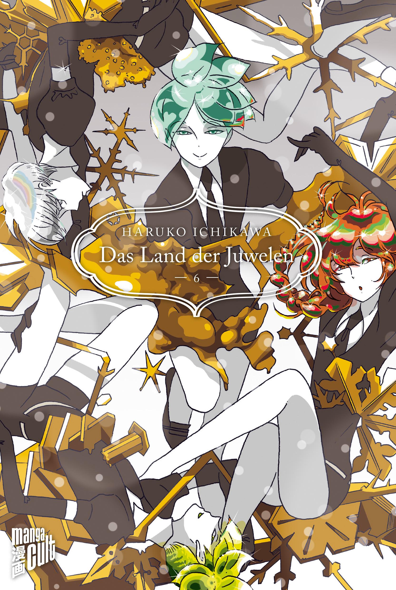 Vorderes Coverbild Das Land der Juwelen 6