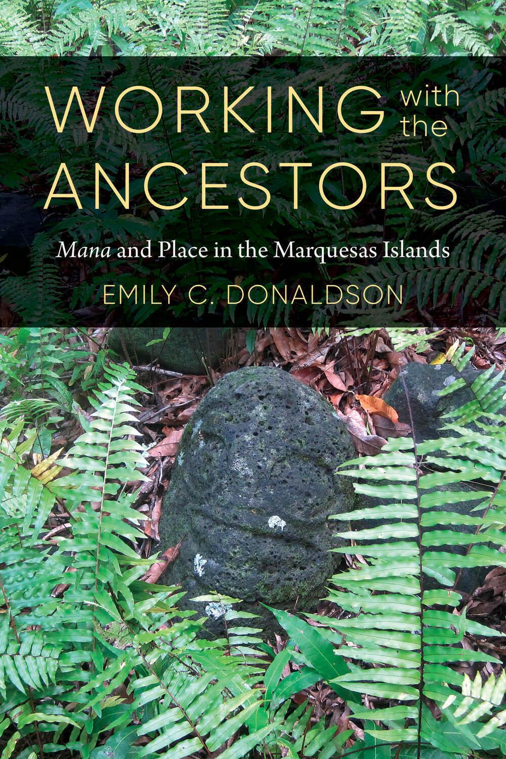 Vorderes Coverbild Working with the Ancestors